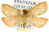  ( - 10ANIC-09620)  @12 [ ] CreativeCommons - Attribution (2010) CBG Photography Group Centre for Biodiversity Genomics