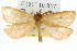  ( - 10ANIC-09622)  @11 [ ] CreativeCommons - Attribution (2010) CBG Photography Group Centre for Biodiversity Genomics