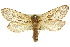  ( - 10ANIC-09660)  @15 [ ] CreativeCommons - Attribution (2010) CBG Photography Group Centre for Biodiversity Genomics