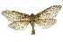  ( - 10ANIC-09722)  @15 [ ] CreativeCommons - Attribution (2010) CBG Photography Group Centre for Biodiversity Genomics