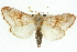  ( - 10ANIC-09837)  @15 [ ] CreativeCommons - Attribution (2010) CBG Photography Group Centre for Biodiversity Genomics