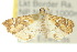  ( - 10ANIC-09100)  @13 [ ] CreativeCommons - Attribution (2010) CBG Photography Group Centre for Biodiversity Genomics