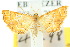  ( - 10ANIC-09109)  @11 [ ] CreativeCommons - Attribution (2010) CBG Photography Group Centre for Biodiversity Genomics