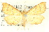  ( - 10ANIC-09111)  @11 [ ] CreativeCommons - Attribution (2010) CBG Photography Group Centre for Biodiversity Genomics