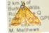  ( - 10ANIC-10001)  @13 [ ] CreativeCommons - Attribution (2010) CBG Photography Group Centre for Biodiversity Genomics