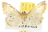  ( - 10ANIC-10045)  @11 [ ] CreativeCommons - Attribution (2010) CBG Photography Group Centre for Biodiversity Genomics