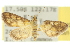  ( - 10ANIC-10297)  @11 [ ] CreativeCommons - Attribution (2010) CBG Photography Group Centre for Biodiversity Genomics