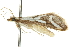  ( - 10ANIC-10375)  @12 [ ] CreativeCommons - Attribution (2010) CBG Photography Group Centre for Biodiversity Genomics
