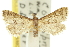  ( - 10ANIC-10400)  @11 [ ] CreativeCommons - Attribution (2010) CBG Photography Group Centre for Biodiversity Genomics