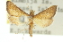  ( - 10ANIC-10470)  @11 [ ] CreativeCommons - Attribution (2010) CBG Photography Group Centre for Biodiversity Genomics