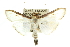 ( - 10ANIC-10638)  @14 [ ] CreativeCommons - Attribution (2010) CBG Photography Group Centre for Biodiversity Genomics