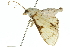  ( - 10ANIC-10780)  @12 [ ] CreativeCommons - Attribution (2010) CBG Photography Group Centre for Biodiversity Genomics