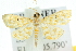  ( - 10ANIC-10919)  @14 [ ] CreativeCommons - Attribution (2010) CBG Photography Group Centre for Biodiversity Genomics
