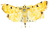  (Notarcha - 10ANIC-10925)  @15 [ ] CreativeCommons - Attribution (2010) CBG Photography Group Centre for Biodiversity Genomics