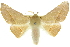  ( - 10ANIC-11158)  @14 [ ] CreativeCommons - Attribution (2010) CBG Photography Group Centre for Biodiversity Genomics