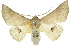  ( - 10ANIC-11167)  @11 [ ] CreativeCommons - Attribution (2010) CBG Photography Group Centre for Biodiversity Genomics