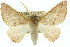  ( - 10ANIC-11180)  @15 [ ] CreativeCommons - Attribution (2010) CBG Photography Group Centre for Biodiversity Genomics