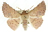  ( - 10ANIC-11189)  @14 [ ] CreativeCommons - Attribution (2010) CBG Photography Group Centre for Biodiversity Genomics
