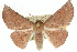  ( - 10ANIC-11191)  @14 [ ] CreativeCommons - Attribution (2010) CBG Photography Group Centre for Biodiversity Genomics