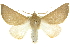  ( - 10ANIC-11211)  @15 [ ] CreativeCommons - Attribution (2010) CBG Photography Group Centre for Biodiversity Genomics