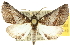  ( - 10ANIC-11331)  @14 [ ] CreativeCommons - Attribution (2010) CBG Photography Group Centre for Biodiversity Genomics
