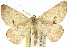  ( - 10ANIC-11507)  @14 [ ] CreativeCommons - Attribution (2010) CBG Photography Group Centre for Biodiversity Genomics