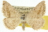  ( - 10ANIC-11565)  @14 [ ] CreativeCommons - Attribution (2010) CBG Photography Group Centre for Biodiversity Genomics