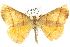  ( - 10ANIC-11591)  @15 [ ] CreativeCommons - Attribution (2010) CBG Photography Group Centre for Biodiversity Genomics