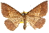  ( - 10ANIC-11634)  @14 [ ] CreativeCommons - Attribution (2010) CBG Photography Group Centre for Biodiversity Genomics