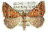  ( - 10ANIC-11706)  @15 [ ] CreativeCommons - Attribution (2010) CBG Photography Group Centre for Biodiversity Genomics