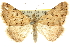  ( - 10ANIC-11718)  @14 [ ] CreativeCommons - Attribution (2010) CBG Photography Group Centre for Biodiversity Genomics
