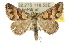  ( - 10ANIC-11721)  @15 [ ] CreativeCommons - Attribution (2010) CBG Photography Group Centre for Biodiversity Genomics