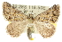  ( - 10ANIC-11751)  @14 [ ] CreativeCommons - Attribution (2010) CBG Photography Group Centre for Biodiversity Genomics