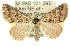  ( - 10ANIC-11761)  @14 [ ] CreativeCommons - Attribution (2010) CBG Photography Group Centre for Biodiversity Genomics