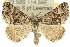  ( - 10ANIC-11791)  @15 [ ] CreativeCommons - Attribution (2010) CBG Photography Group Centre for Biodiversity Genomics