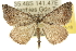  ( - 10ANIC-11921)  @15 [ ] CreativeCommons - Attribution (2010) CBG Photography Group Centre for Biodiversity Genomics