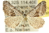  ( - 10ANIC-11924)  @15 [ ] CreativeCommons - Attribution (2010) CBG Photography Group Centre for Biodiversity Genomics