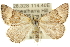  ( - 10ANIC-12002)  @15 [ ] CreativeCommons - Attribution (2010) CBG Photography Group Centre for Biodiversity Genomics