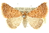  ( - 10ANIC-12029)  @11 [ ] CreativeCommons - Attribution (2010) CBG Photography Group Centre for Biodiversity Genomics