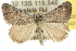  ( - 10ANIC-12038)  @14 [ ] CreativeCommons - Attribution (2010) CBG Photography Group Centre for Biodiversity Genomics