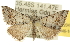  ( - 10ANIC-12042)  @14 [ ] CreativeCommons - Attribution (2010) CBG Photography Group Centre for Biodiversity Genomics