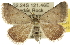  ( - 10ANIC-12061)  @15 [ ] CreativeCommons - Attribution (2010) CBG Photography Group Centre for Biodiversity Genomics
