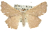  ( - 10ANIC-12084)  @14 [ ] CreativeCommons - Attribution (2010) CBG Photography Group Centre for Biodiversity Genomics