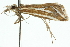  ( - 10ANIC-12174)  @11 [ ] CreativeCommons - Attribution (2010) CBG Photography Group Centre for Biodiversity Genomics