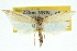  ( - 10ANIC-12230)  @11 [ ] CreativeCommons - Attribution (2010) CBG Photography Group Centre for Biodiversity Genomics