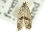  ( - 10ANIC-12256)  @12 [ ] CreativeCommons - Attribution (2010) CBG Photography Group Centre for Biodiversity Genomics