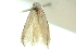  ( - 10ANIC-12261)  @11 [ ] CreativeCommons - Attribution (2010) CBG Photography Group Centre for Biodiversity Genomics