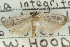  ( - 10ANIC-12341)  @12 [ ] CreativeCommons - Attribution (2010) CBG Photography Group Centre for Biodiversity Genomics
