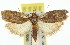  ( - 11ANIC-00360)  @11 [ ] CreativeCommons - Attribution (2011) ANIC/CBG Photography Group Centre for Biodiversity Genomics