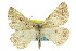  ( - 11ANIC-00202)  @14 [ ] CreativeCommons - Attribution (2011) ANIC/CBG Photography Group Centre for Biodiversity Genomics